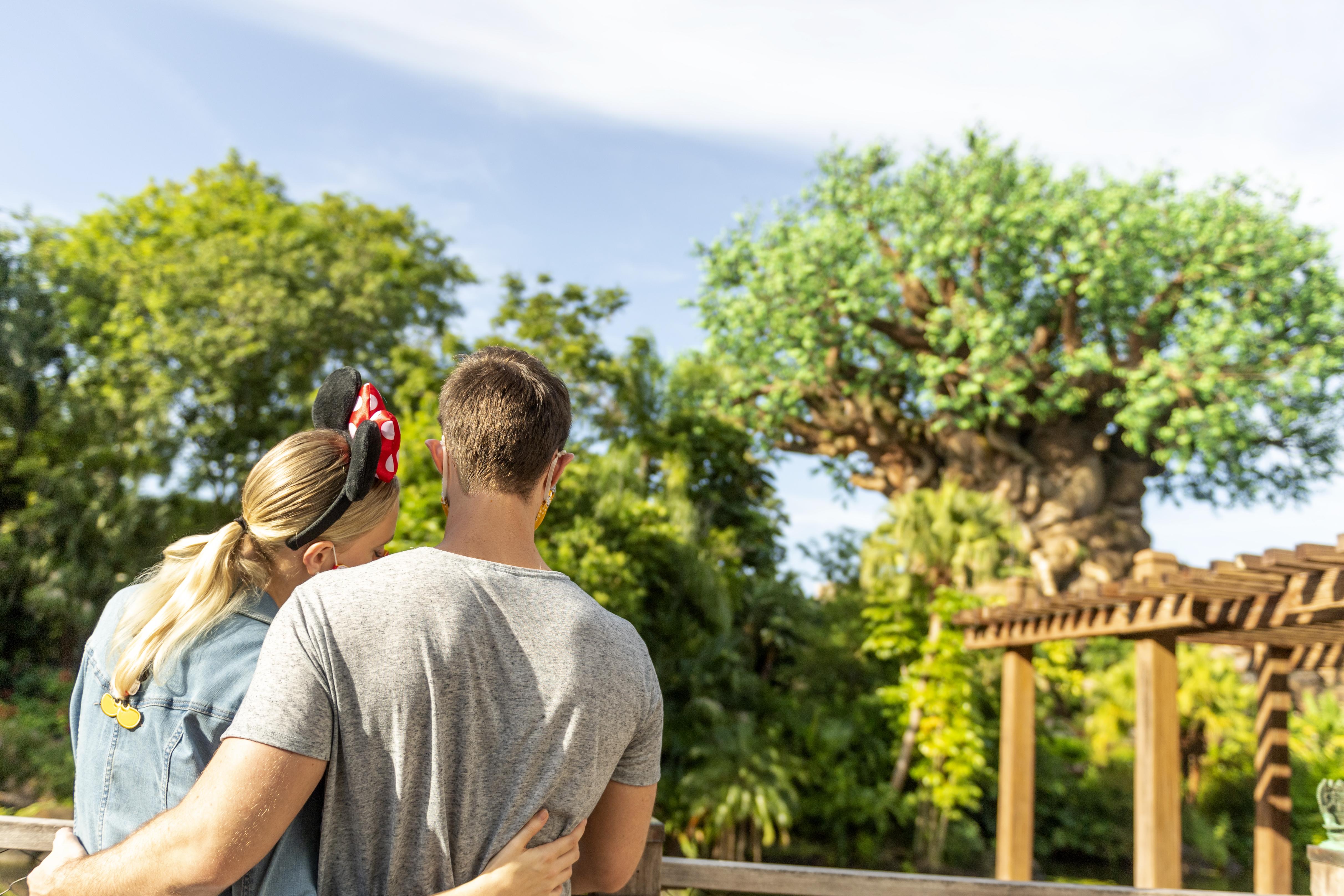 לייק בואנה ויסטה Boulder Ridge Villas At Disney'S Wilderness Lodge מראה חיצוני תמונה
